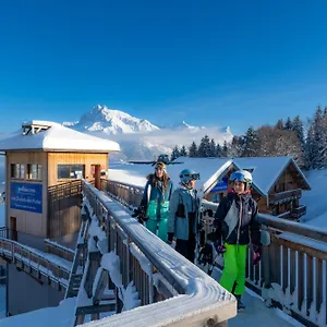 https://goelia-les-chalets-des-pistes.hotels-rhonealpes.com