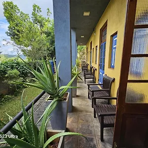 https://blue-pillars-kandy.negombohotels.net
